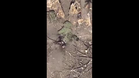 Ukraine: cut in half