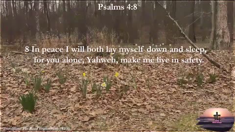Psalm 4:8