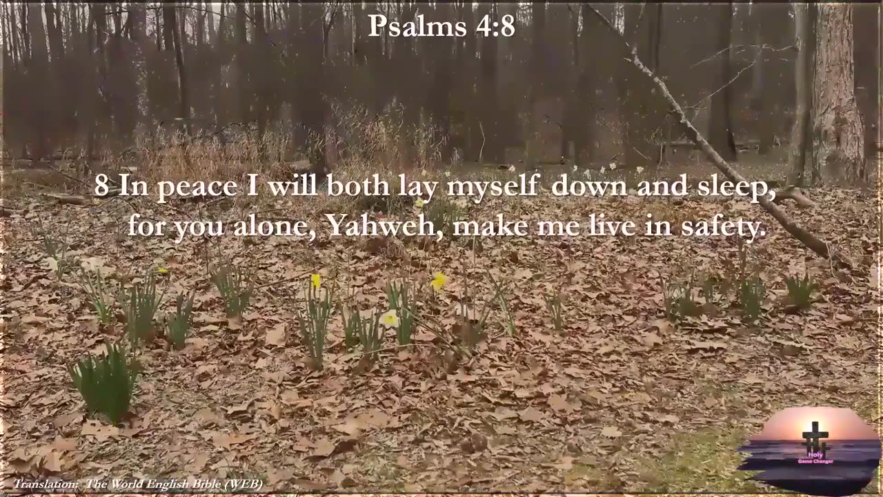 Psalm 4:8