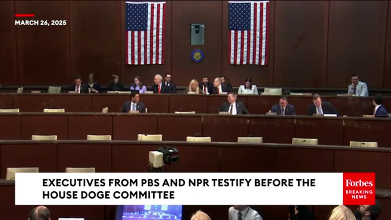 Rep. Jasmine Crockett (D-TX) slams GOP attacks on NPR and PBS at today's House DOGE hearing.