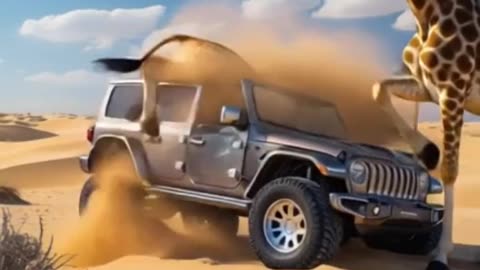 What Happens When Animals Attack Cars?