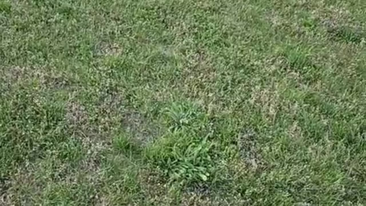 Catch #306 Dan 42 of Michigan city Indiana talking with a 13 yo decoy part 1