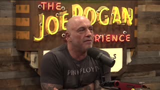 Hive Mind: Our Future? - Cody Tucker on JRE #sentience #hivemind #dataprivacy