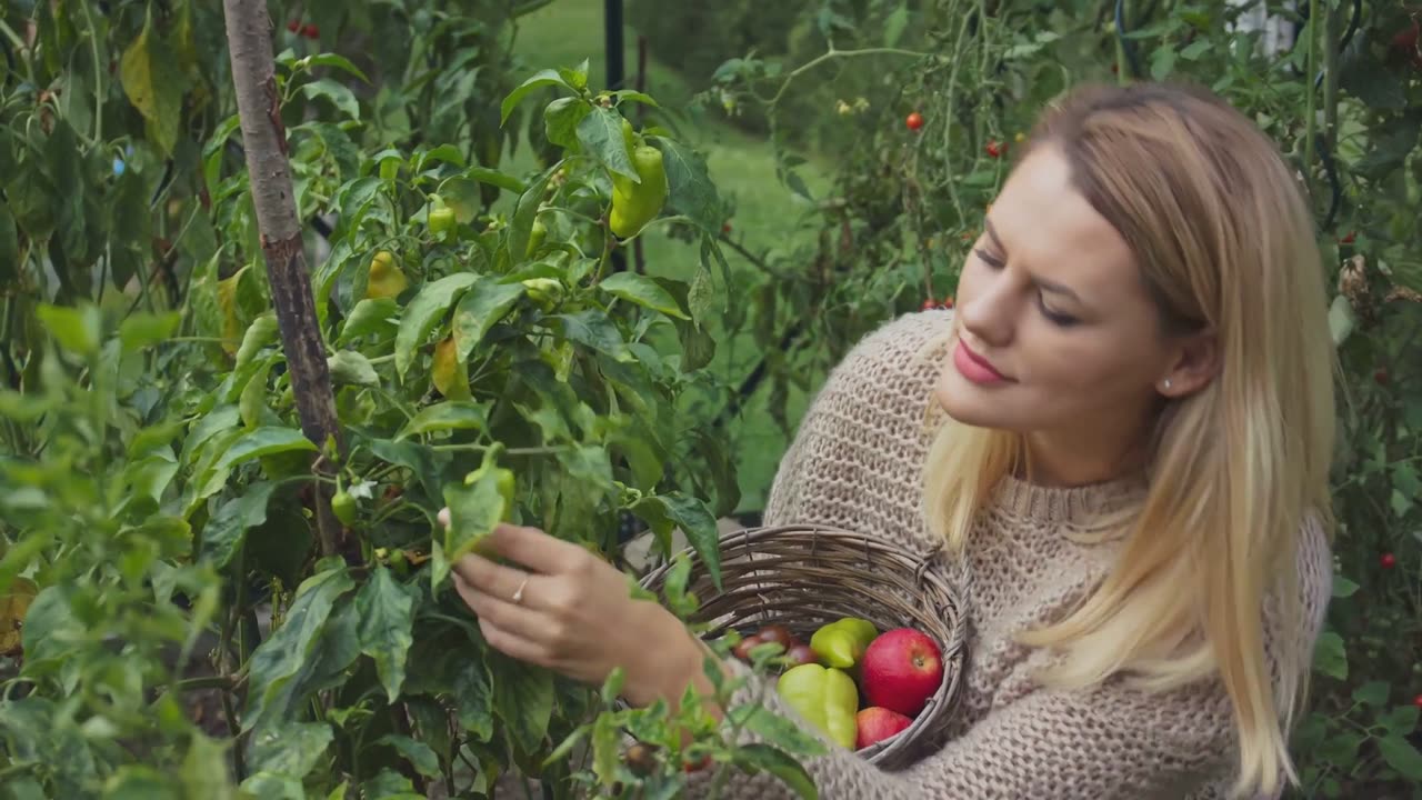 Apartment Vegetable Gardening System: 1 AMAZING Fix! (Stop Veggie Tragedies!) 🍅😂