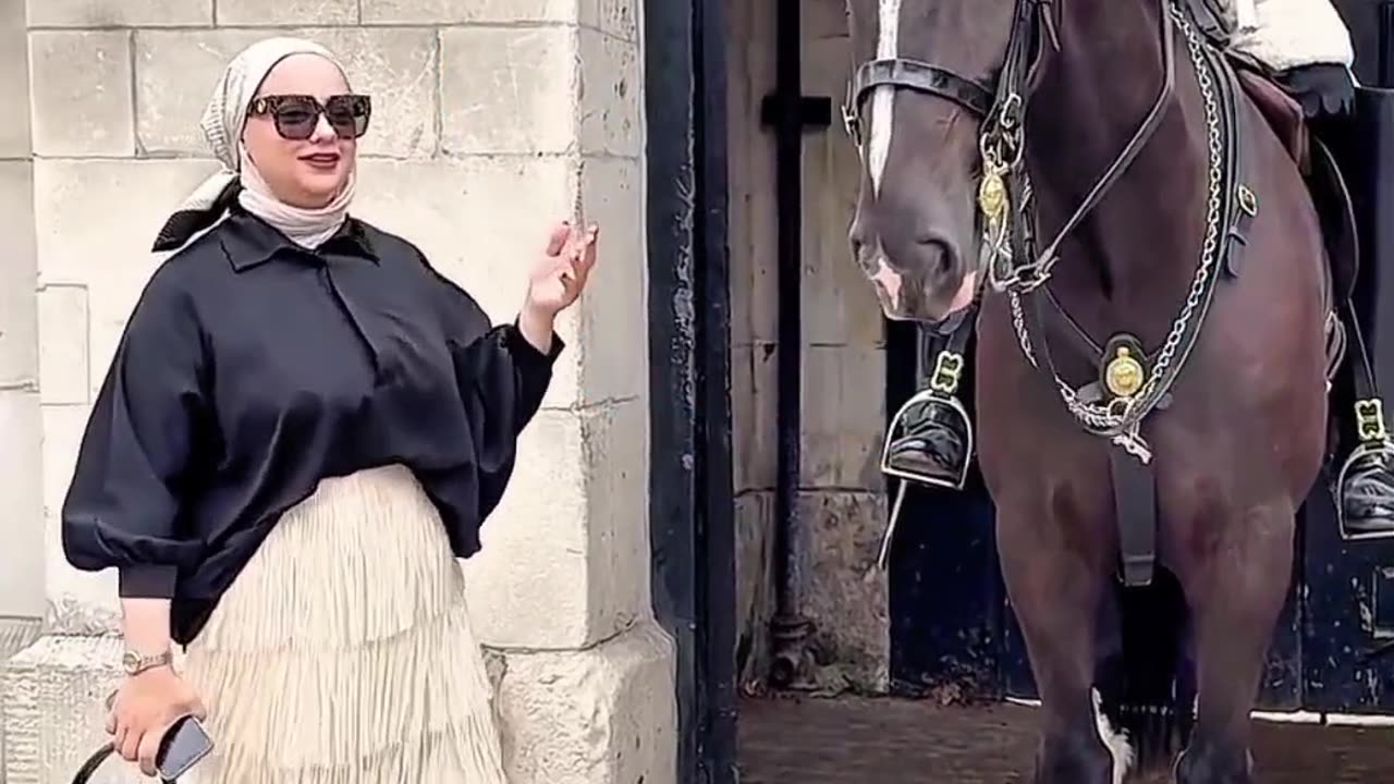 difference why #kingguardhorse #kingguard