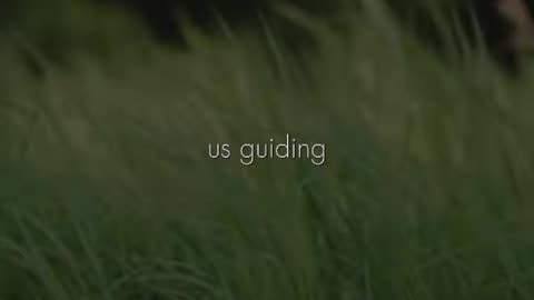 🌟🕊️ March Faith | In God We Trust Daily