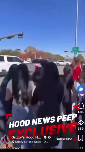 Mexicans attacking White people, ICE protest