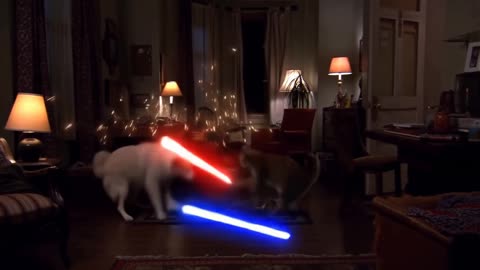 DOG vs CAT Lightsaber Battle – The Ultimate Showdown! 🐶⚔️🐱😂
