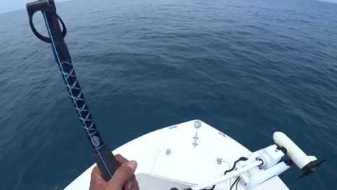 pesca a pesci grossi o big fish, parte 2, hammer shark o grande squalo martello_part6