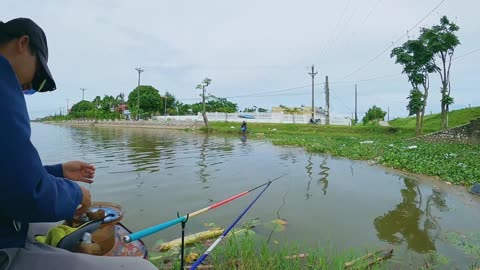 Catfish Cuisine Recipes from the River