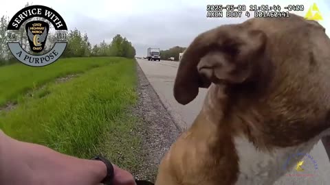 Ohio Trooper’s Heartwarming Rescue of Puppy on Interstate 77