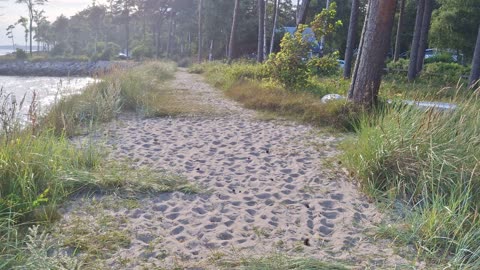 Hagestad vid havet 27 Juli 2025