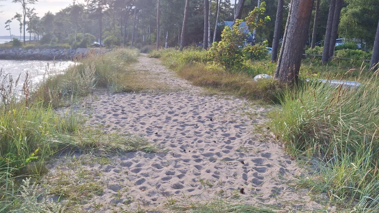 Hagestad vid havet 27 Juli 2025
