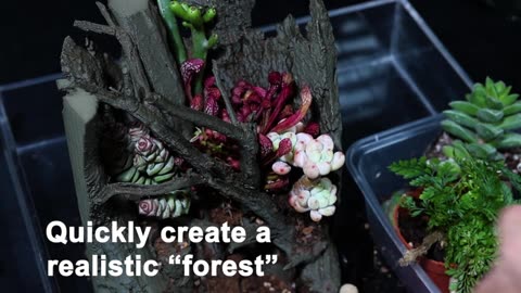 Vasee Y02：Craft Your Own BiomeThe 3D-Printed Ecosystem Jar by 7Gardeners