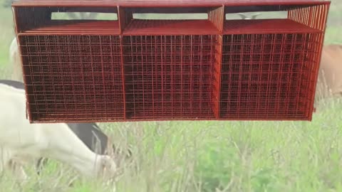 American-Made Small Livestock Panels