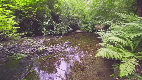 This scenery is a haven for the soul and a resting place for the spirit.