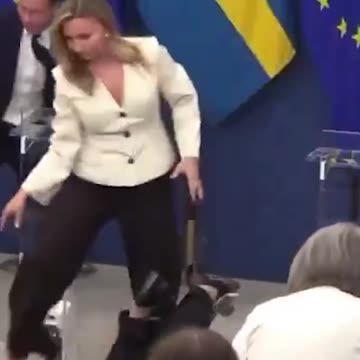 Swedish Democratic Health Minister Collapses During Press Conference