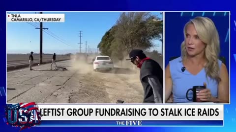 The Five’: Dems ‘dump more gas’ on their ‘anti-ICE fire’