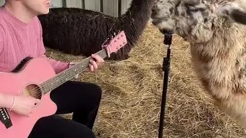 BEAUTIFULLY MAGICAL FRIDAY 1/16/26