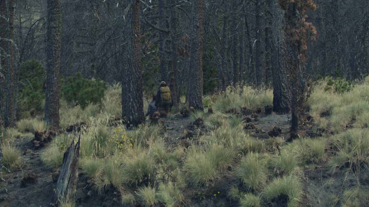 Young people walking through a forest