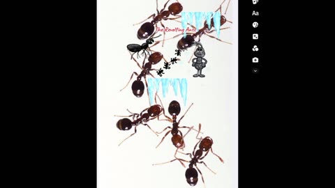 SCIFI! Cryogenics! THE REVOLTING ANTS!