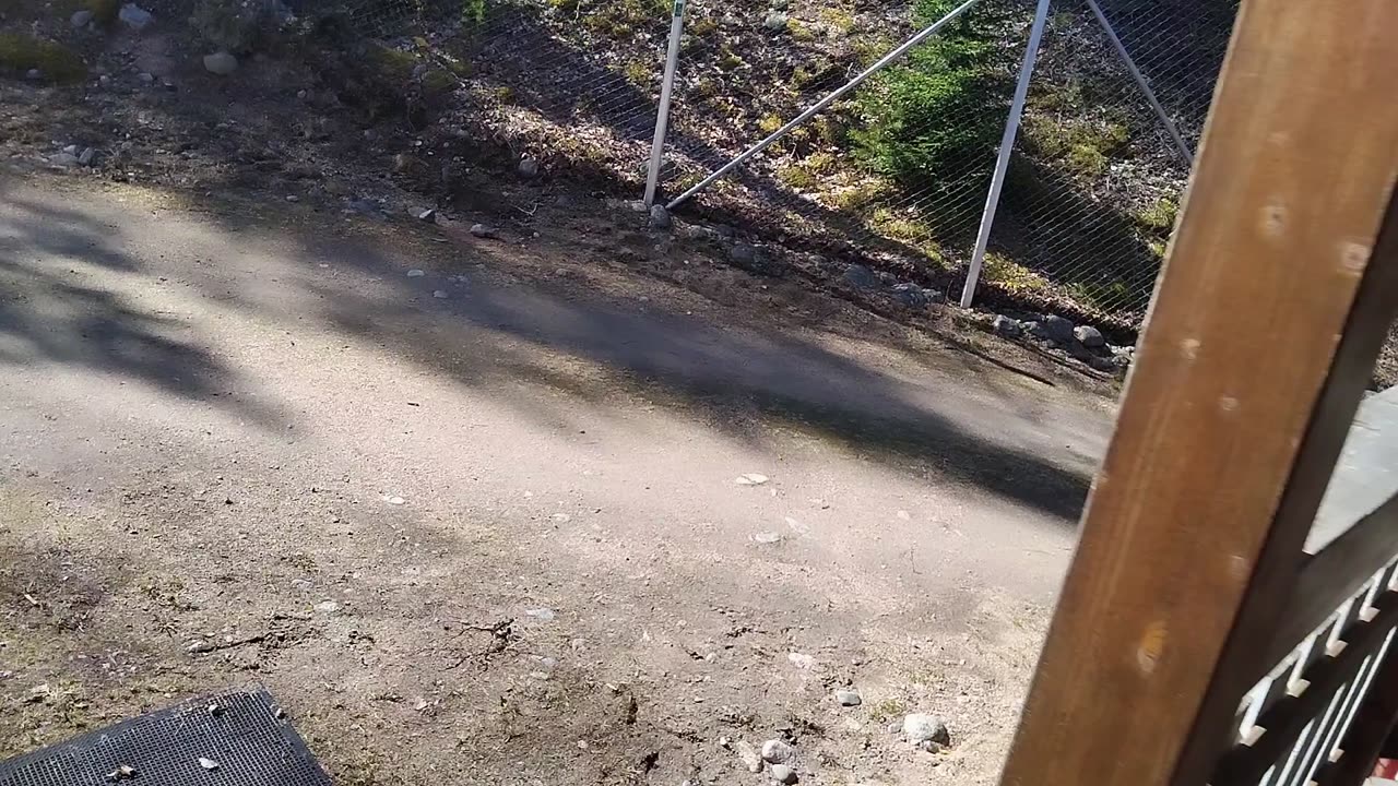 Vähän asiaakin väliin