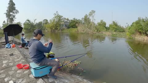Gar Strikes in the Calm Lagoon