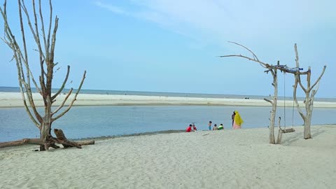 Mangrove Beach Adventure – Entering the Green Coastal Forest (Part 1)