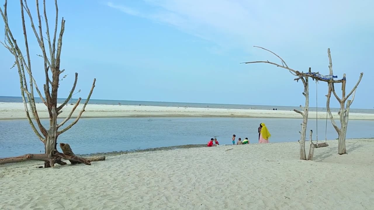 Mangrove Beach Adventure – Entering the Green Coastal Forest (Part 1)