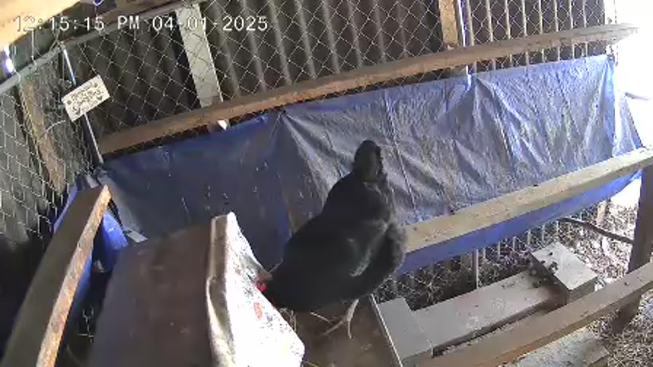 Occupied!