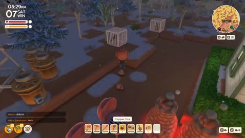 Co-op Australian Animal Crossing - Dinkum!