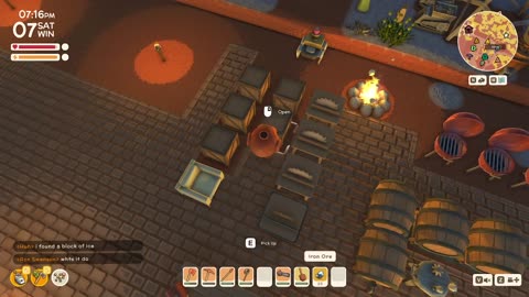 Co-op Australian Animal Crossing - Dinkum!