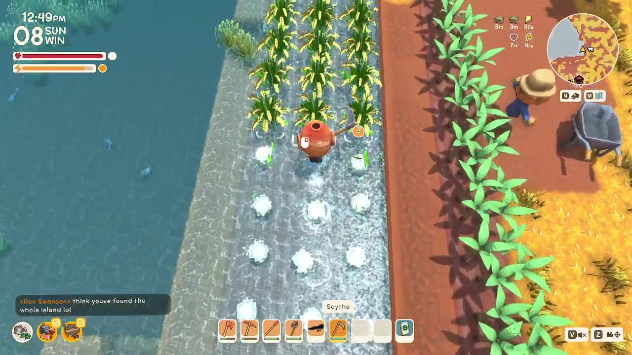 Co-op Australian Animal Crossing - Dinkum!