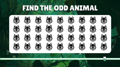 Find the ODD One Out - Animal Edition! | Ultimate 60 Levels - Easy, Medium, Hard