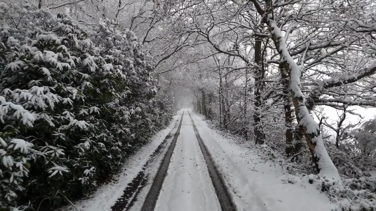 winter life #shortsviral #shortvideo #short