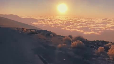 1 Life is a beautiful ride