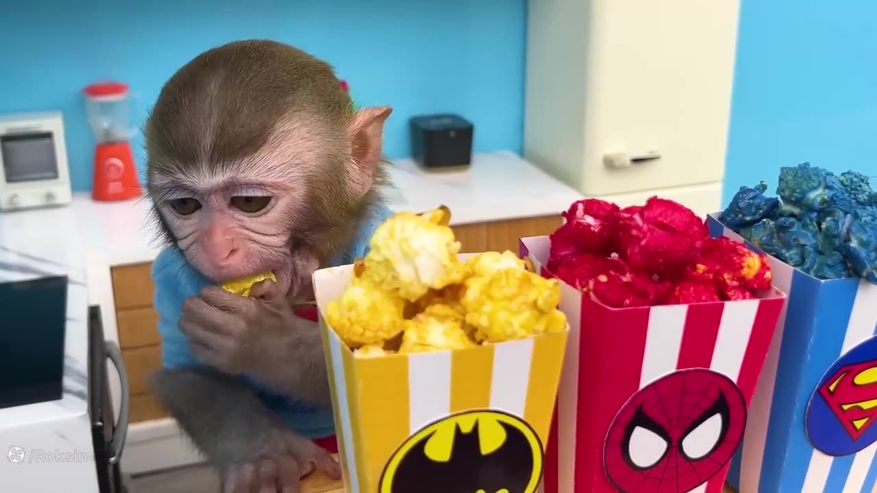 Monkey baby swimming
