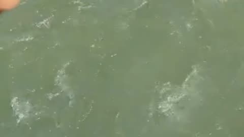 River bath