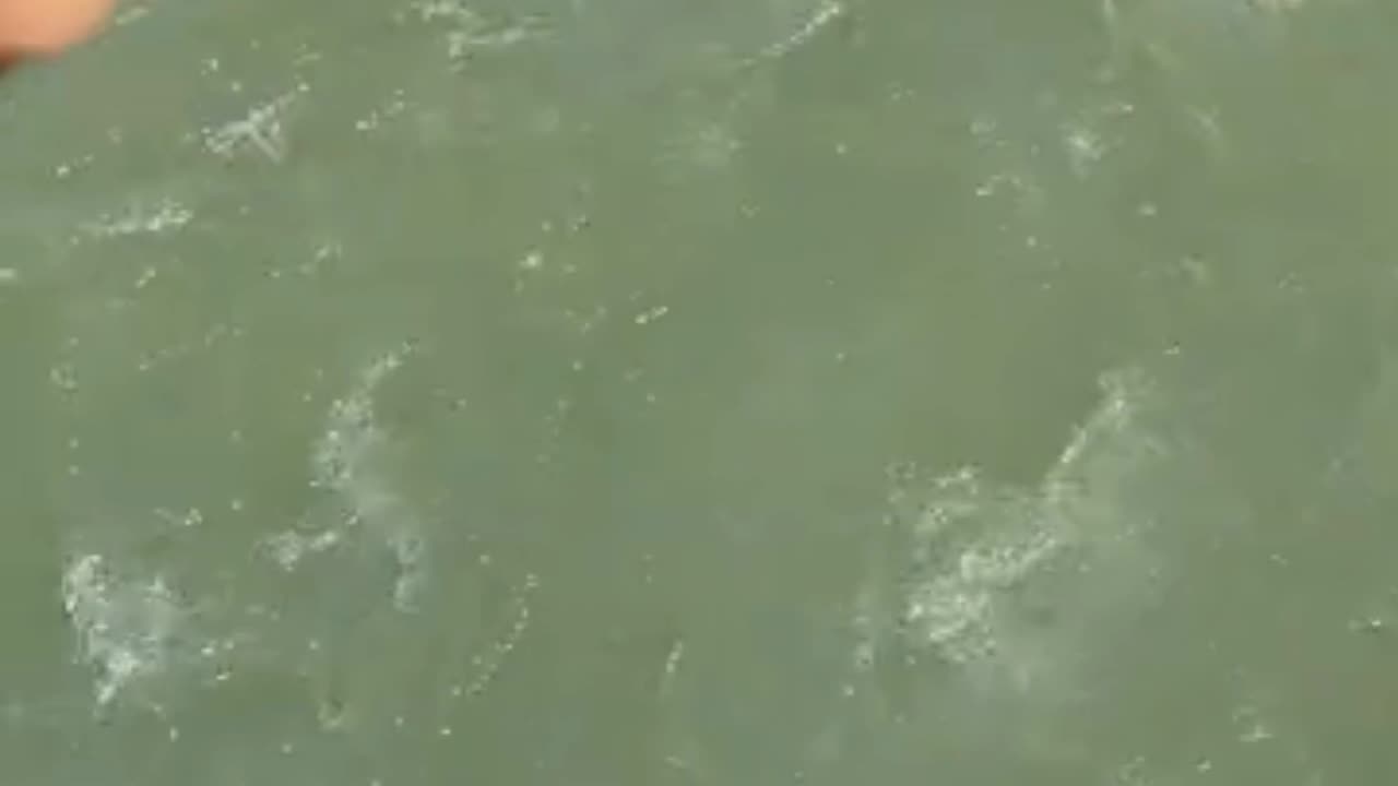 River bath