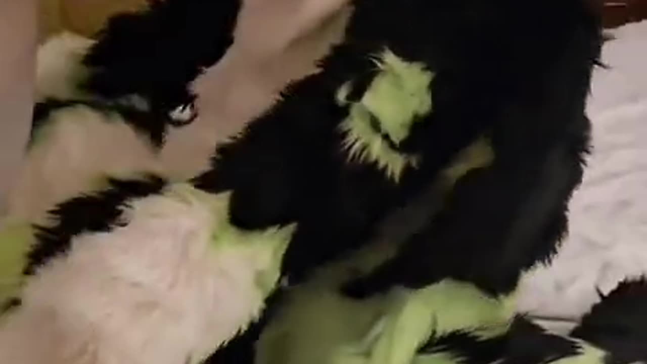 .