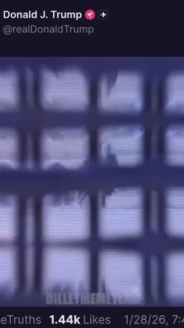 "STFU and let him cook"