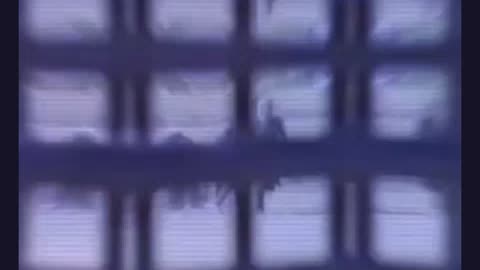 "STFU and let him cook"