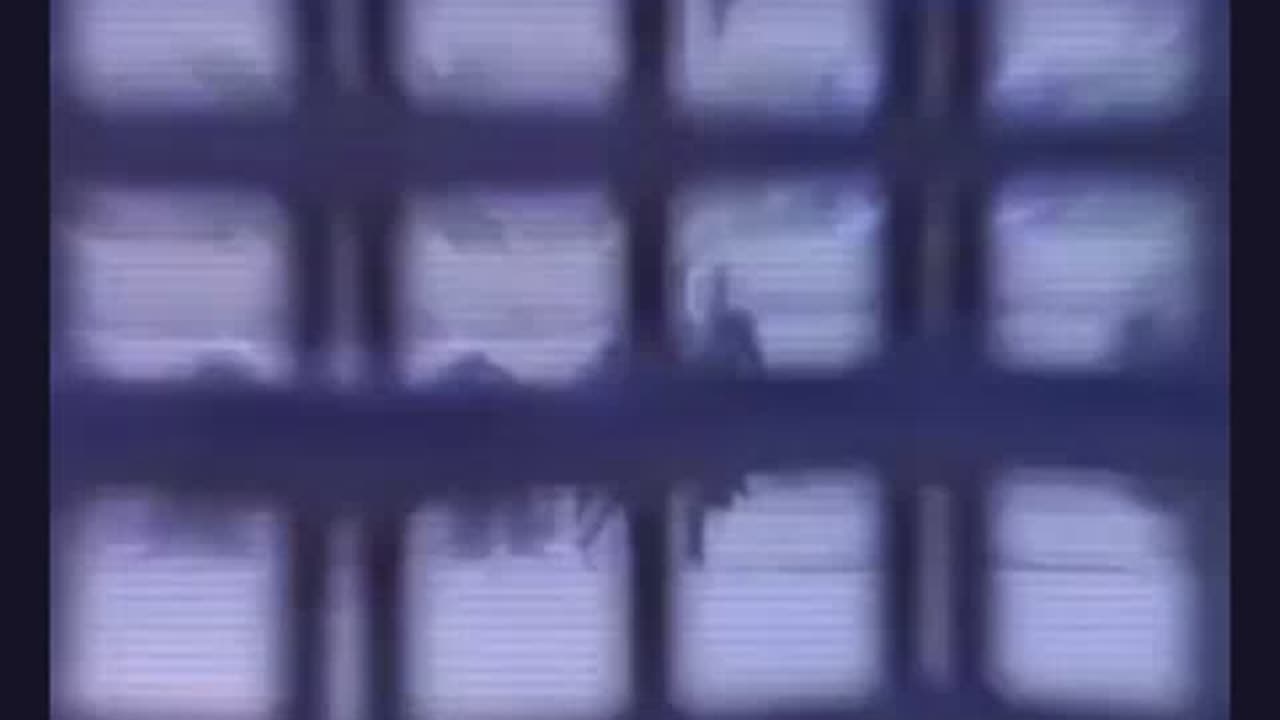 "STFU and let him cook"