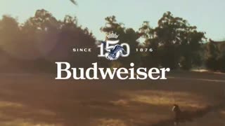 BUDWEISER SUPER BOWL COMMERCIAL IS A WINNER