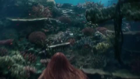 Ariel & Eric the little mermaid 2023 Ariel And Flounder Finds A Shipwreck Scene