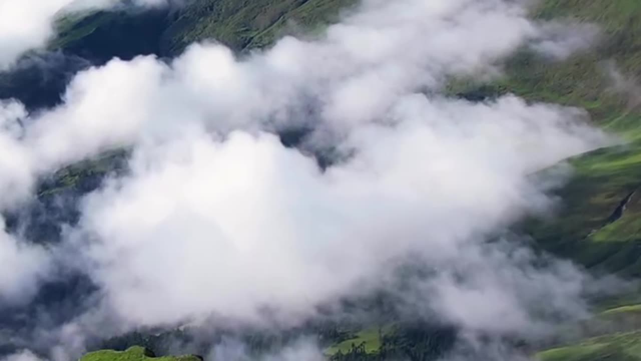 Beayty of nature