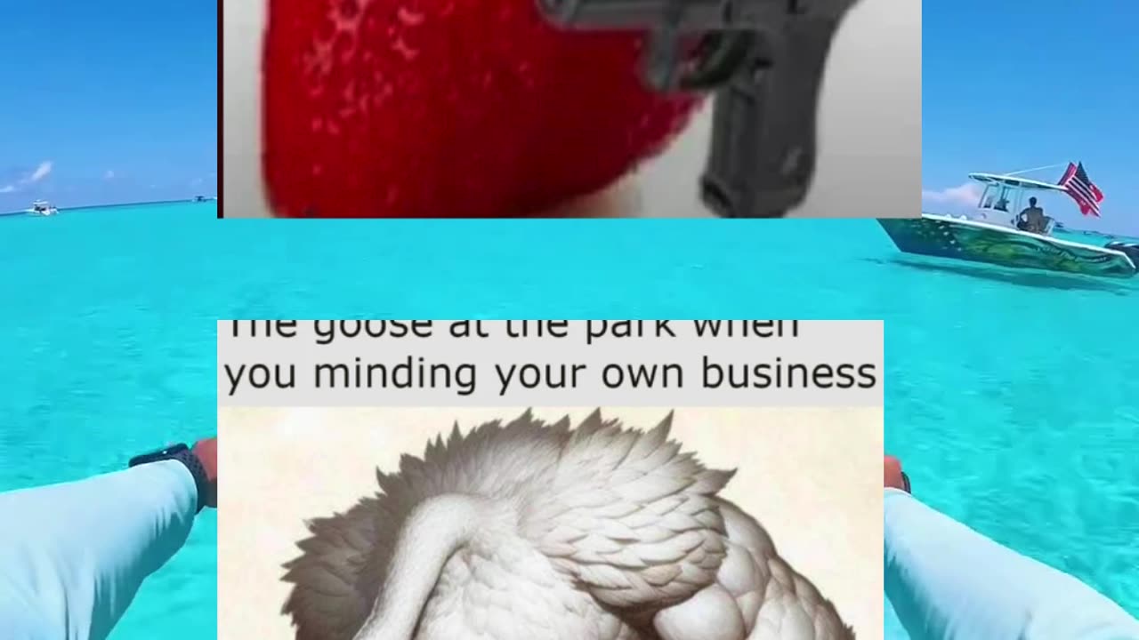#funny #memes #fyp