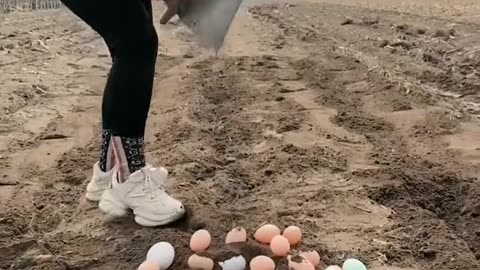 #farm #farmer