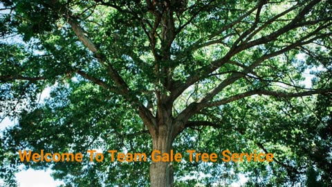 Team Gale Tree Service in Delran, NJ