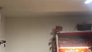 Minding His Own Business